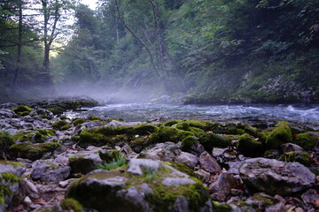gorge in slovenia with mist in the morning