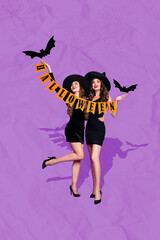 Vertical collage image of two stunning cheerful sorcerer girls embrace hold halloween flags flying...