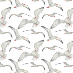 Seagulls pattern. Watercolor hand painted, illustration isolated on white background