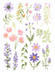 a collection of flowers and leaves on white background