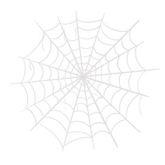 Spider Web Vector