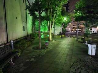 Fototapeta premium street in the city