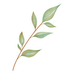 Obraz premium Green Watercolor Leaves