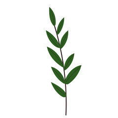 sprig of plant style, isolated vector