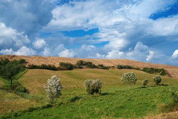 Rural landscape in Val d Orcia, Tuscany, at summer