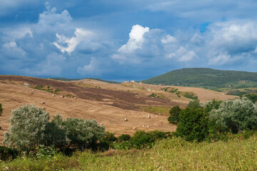 Rural landscape in Val d Orcia, Tuscany, at summer