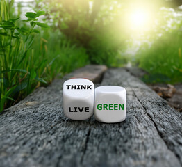 Dice form the expression 'think green' and 'live green'.