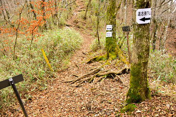 丹沢山地と道志山塊を結ぶ山伏峠
