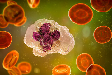 A macrophage cell, 3D illustration
