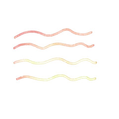 Scribble Brushstroke Watercolor Line