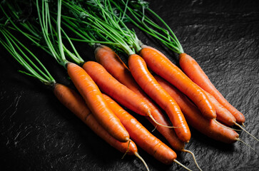 Fresh bunch of carrots .