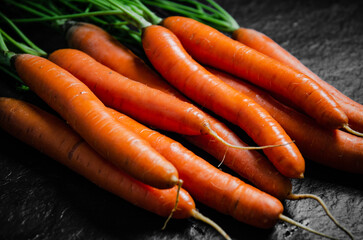 Fresh bunch of carrots .
