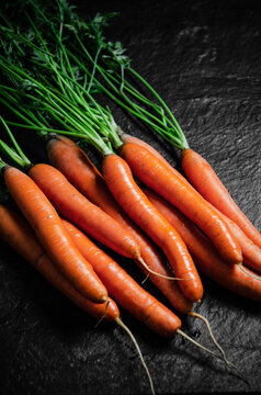 Fresh bunch of carrots .