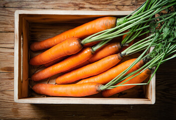 Fresh carrots in old box.