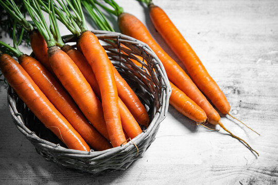 Fresh carrots in basket.