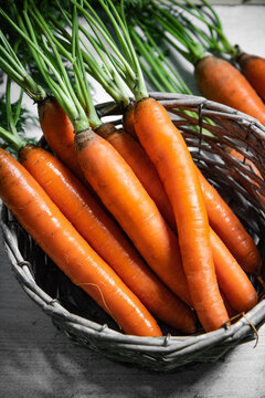 Fresh carrots in basket.