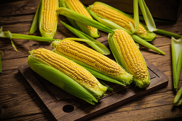 Fresh corn on wooden table.
