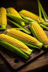 Fresh corn on wooden table.