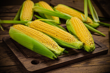 Fresh corn on wooden table.