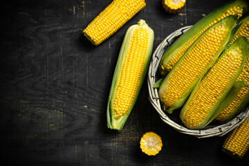 Fresh corn in basket.