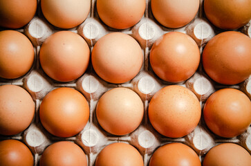 Fresh eggs in cassette.
