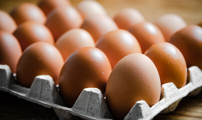 Fresh eggs in cassette.