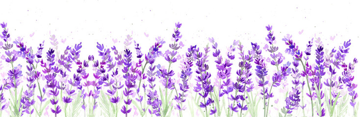 Watercolor lavender illustration for banner and poscard. Botanical elegant frame for invitation in provence style © Оксана К.