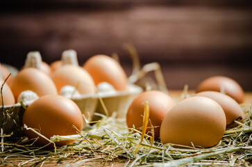 Chicken eggs on wooden table.