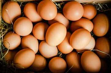 Fresh chicken eggs in old box.
