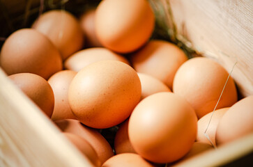 Fresh chicken eggs in old box.