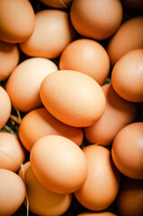 Fresh chicken eggs .