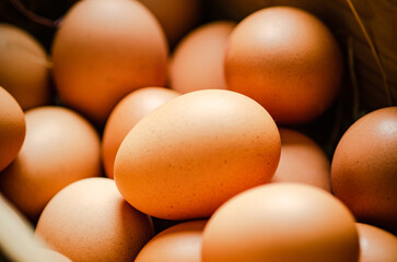 Fresh chicken eggs in old box.