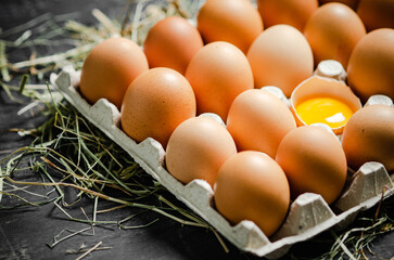 Fresh chicken eggs on dark background.