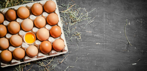 Fresh chicken eggs on dark background.