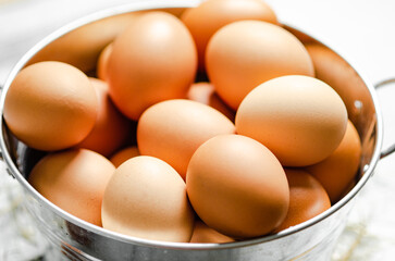 Fresh chicken eggs in bucket.