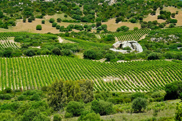 Tipico panorama dell'entroterra sardo. Sardegna, Italia