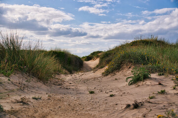 Dune landscape in Apulia