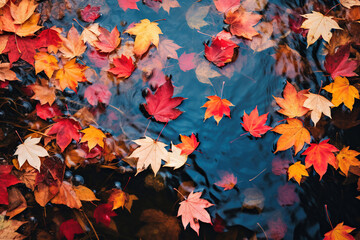 Naklejka na ściany i meble Fall Leaves on the Water