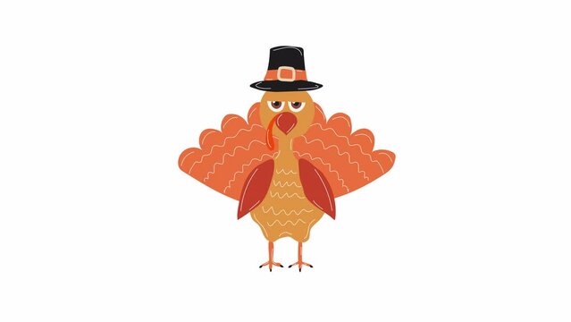  Cartoon Turkey in a pilgrim hat character animation. Video flat cartoon animation design element. 4K video footage, alpha channel transparency
