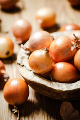 Fresh onions . On table.