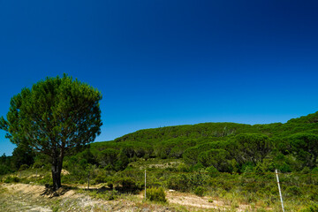 Tipico panorama dell'entroterra sardo. Sardegna, Italia