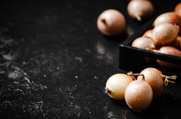 Fresh onions . On table