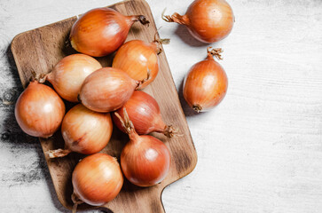 Fresh onions . On table