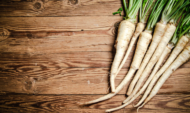 Fresh parsley root .