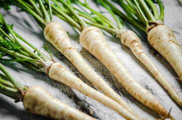 Fresh parsley root .