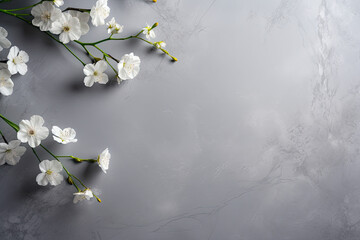 Minimalistic flowers on a grey concrete background, spring banner, copy space 