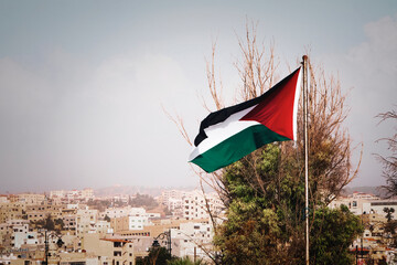flag of Palestine on the mountain on the background of houses in the city. Middle Eastern architecture.