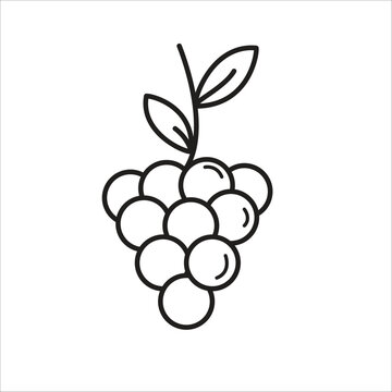 a drawing of a bunch of grapes on a white background