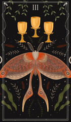  deck of tarot cards. magical predictions of the future, mysterious characters.