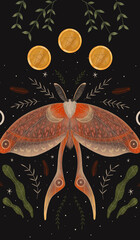 arcana, art, astrology, black, boho, card, cards, cartoon, crystal, deck, decoration, decorative, design, destiny, doodle, drawing, esoteric, fortune, future, graphic, hand, illustration, intuitive, l